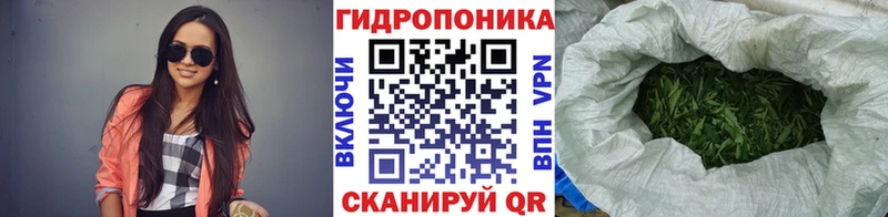 где найти наркотики  Новошахтинск  мега как зайти  Конопля гибрид 